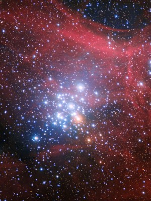 Un retrato muy familiar