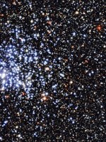 El cúmulo de los patos salvajes