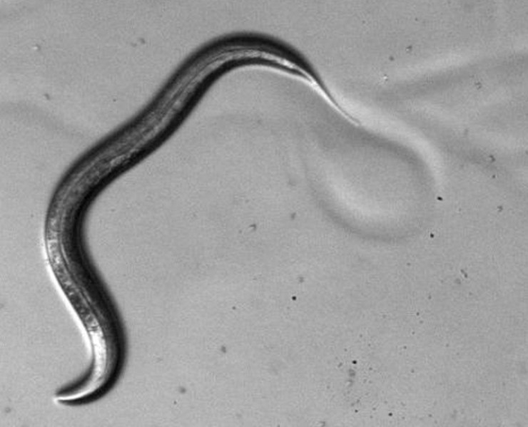 6a00d8341bf67c53ef01761647ca50970c