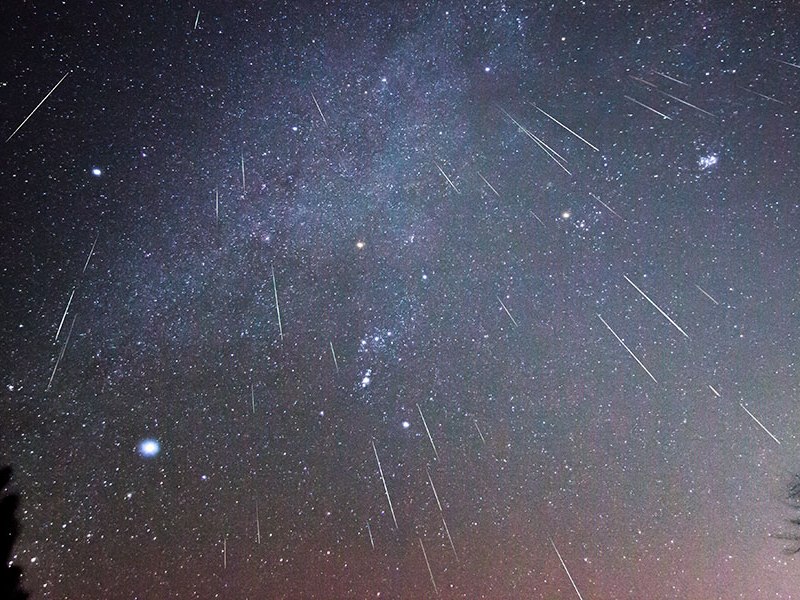 Oriónidas: Cómo y Cuándo ver la Lluvia de Meteoros