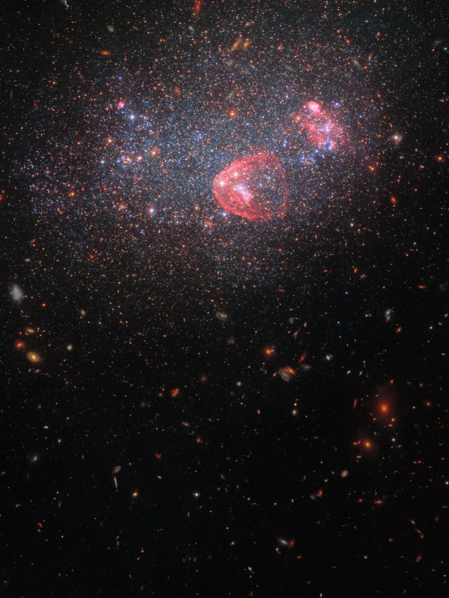 UGC 8091: un pequeño enjambre galáctico