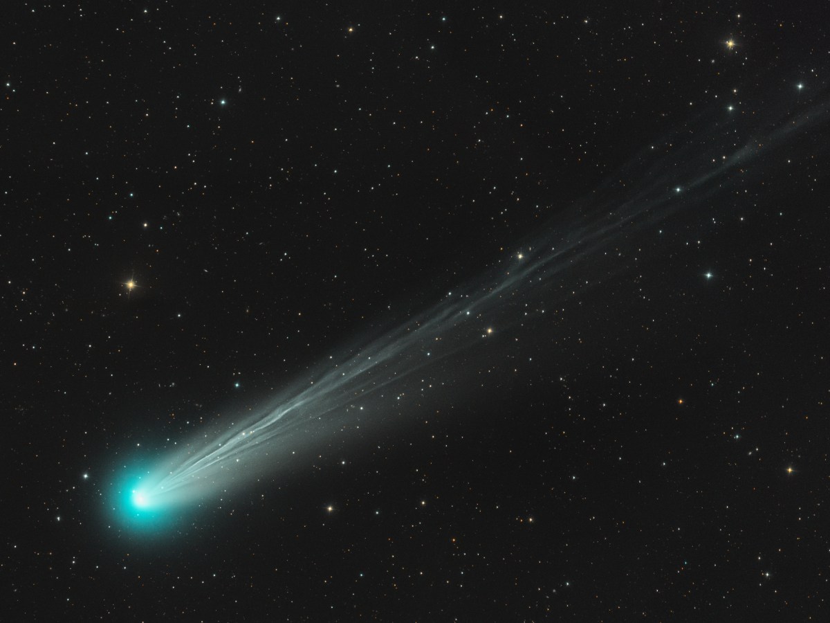 Cómo y cuándo ver el Cometa A6 Lemmon