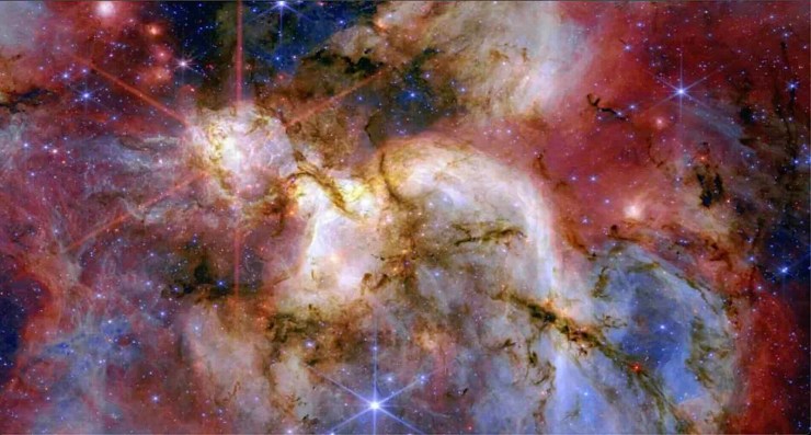 Hambre y frenesí en una fábrica de estrellas masivas